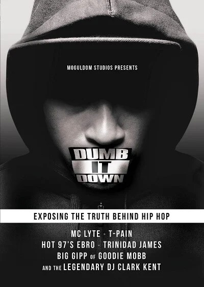 Dumb It Down project artwork